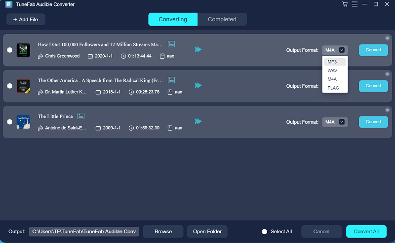 Seleziona Formati di output dei libri convertiti