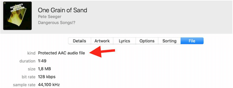 Check Whether iTunes Songs Are Protected