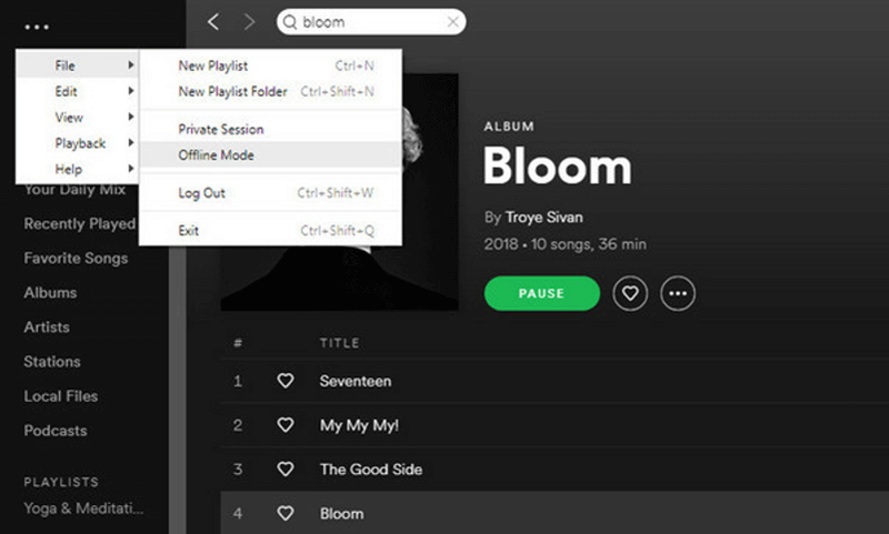 Active el modo sin conexión para acceder a las canciones descargadas de Spotify