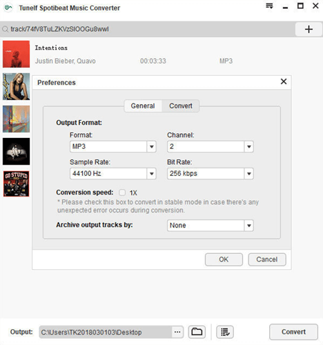 Select Output Format to Convert Spotify Songs