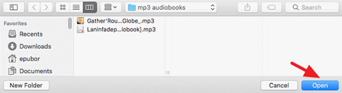 Add MP3 Audiobooks to Library