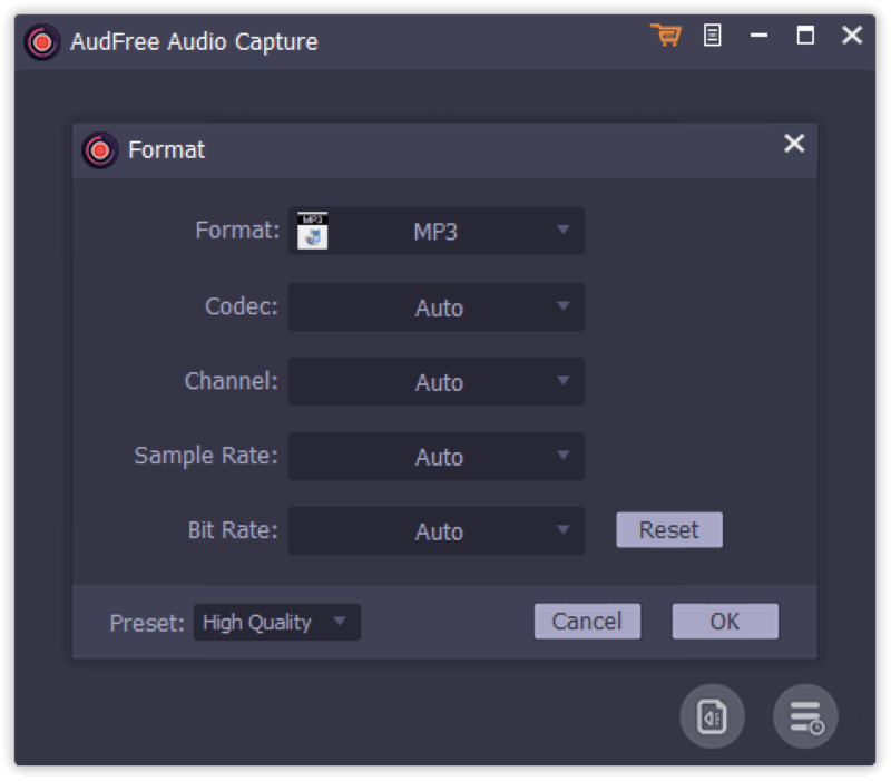 AudFree Audio Capture Interface