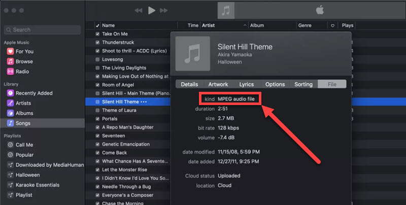Check Audio File Type in iTunes