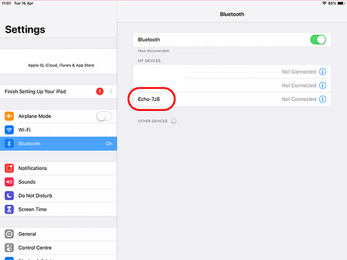 Connect iPhone to Alexa Bluetooth