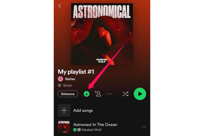 Download Spotify Songs on Its App