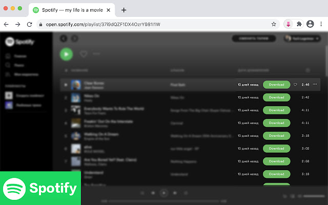 DZR Music Downloader for Spotify