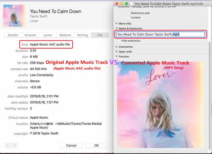 Conservazione dei tag ID3 di Ukeysoft Apple Music Converter