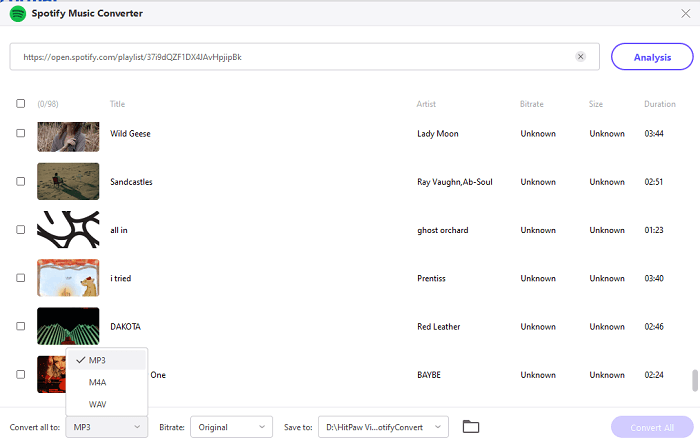 Output Formats of HitPaw Spotify Converter