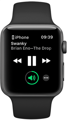 Directly Play Spotify Songs on Apple Watch Online