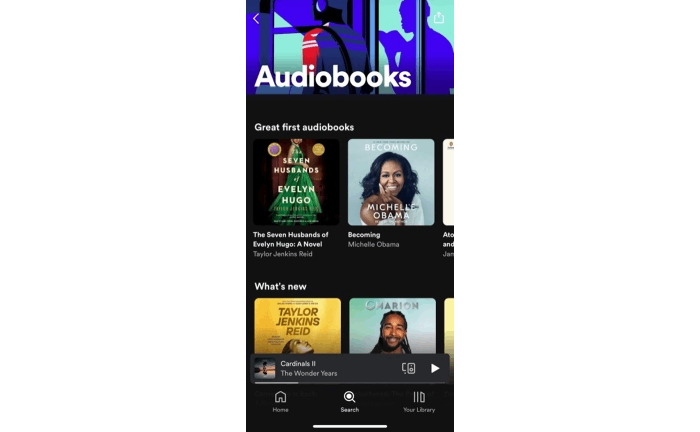 Search the audiobooks on Spotify