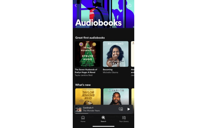 Cerca gli audiolibri su Spotify