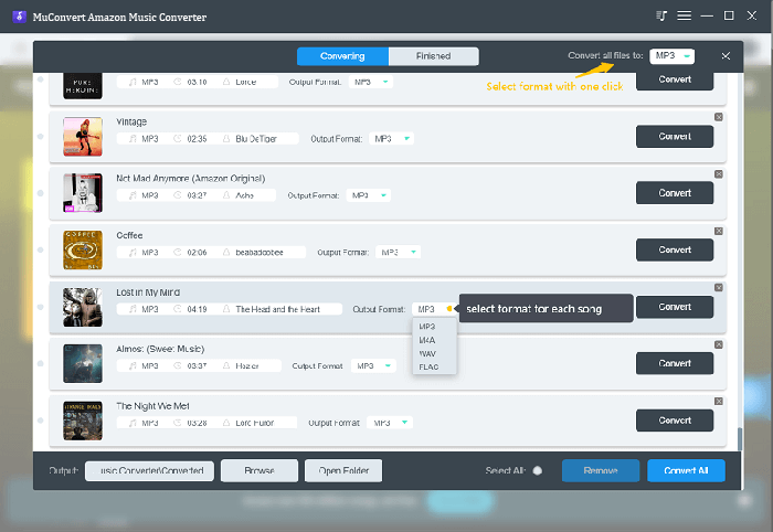 Select Amazon Music Output Format