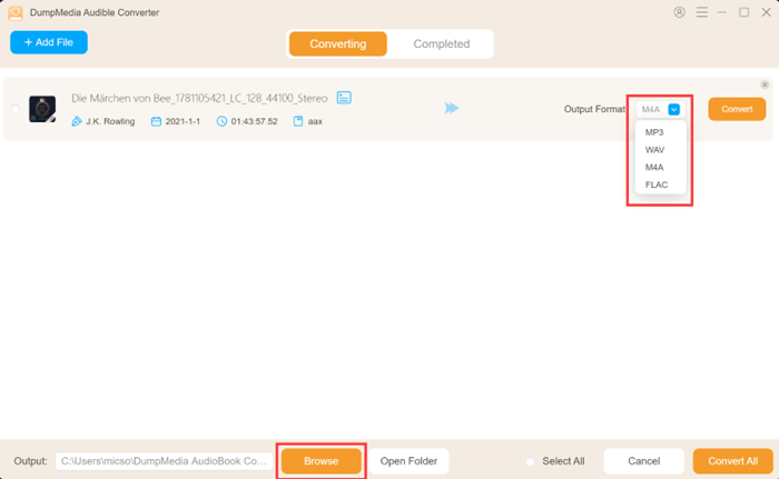 Select Output Format on DumpMedia Audible Conveter