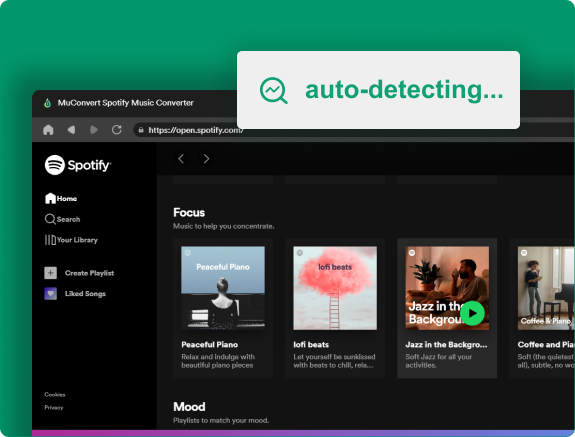 Spotify Web Player Embedded Cover