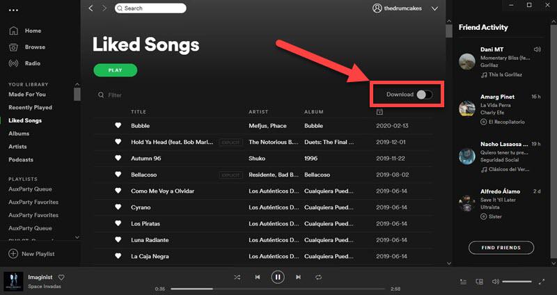 Download Spotify Liked Songs