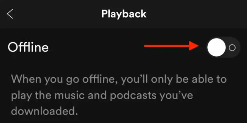 Spotify Go Offline