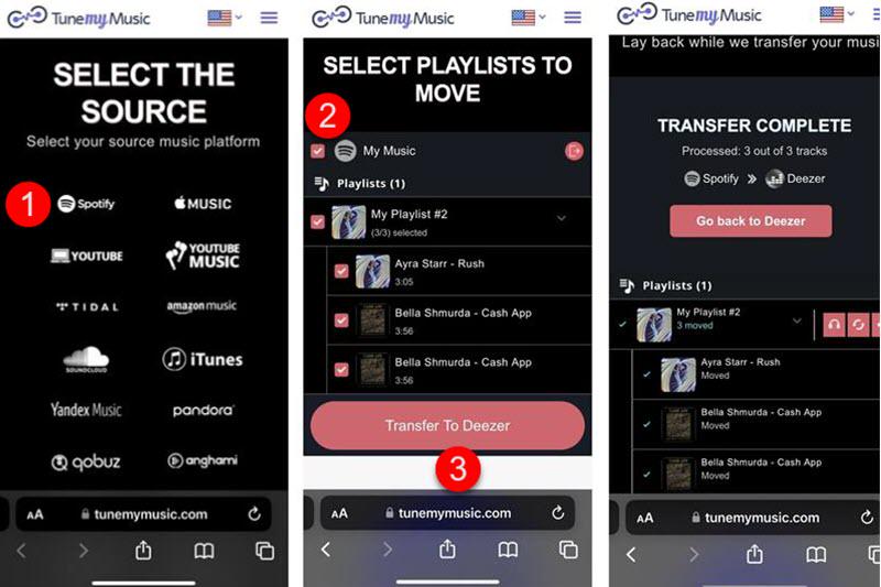 Transfer Spotify Music to Deezer on Tunemymusic