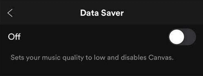 Turn Off Data Saver in Spotify
