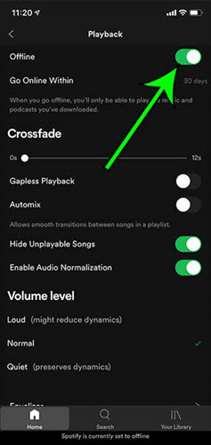 Turn off Spotify Offline Mode on Mobile